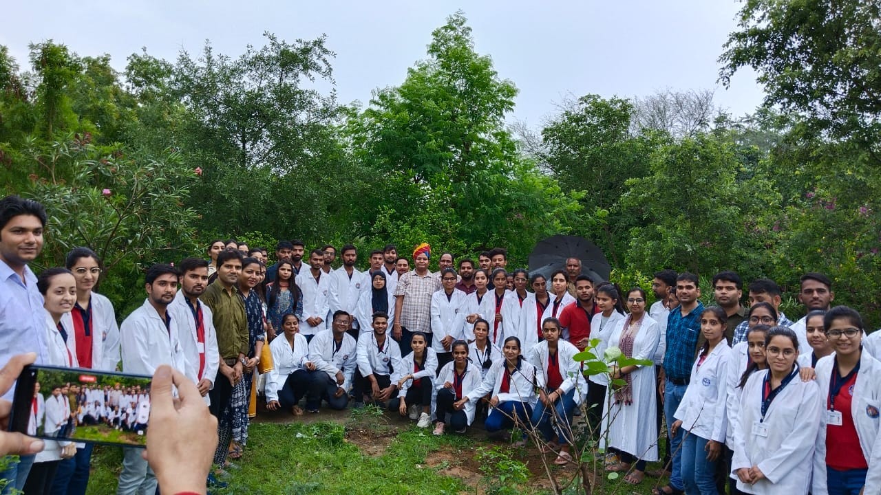 Tree Plantation